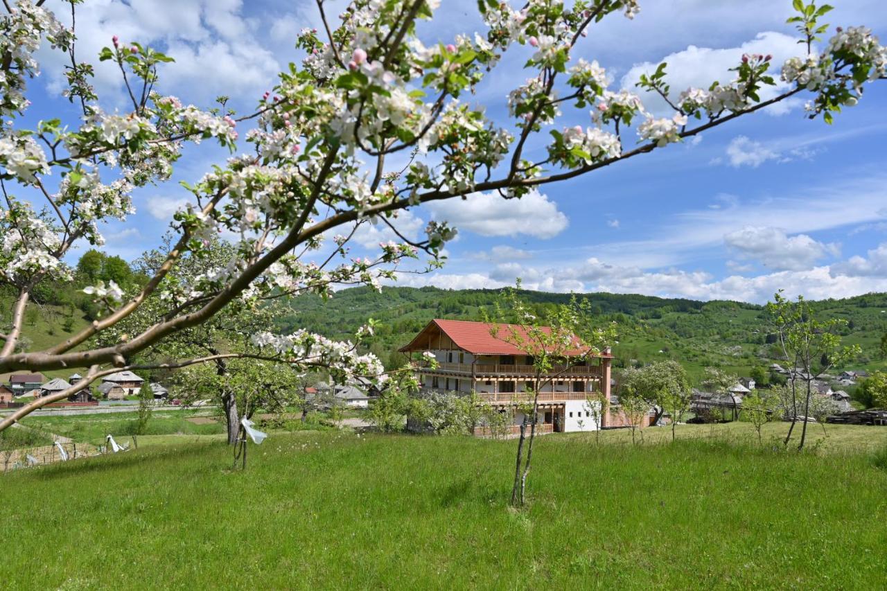 Pensiunea Plai Strabun Stramtura  Exterior photo