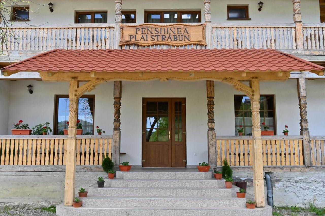 Pensiunea Plai Strabun Stramtura  Exterior photo