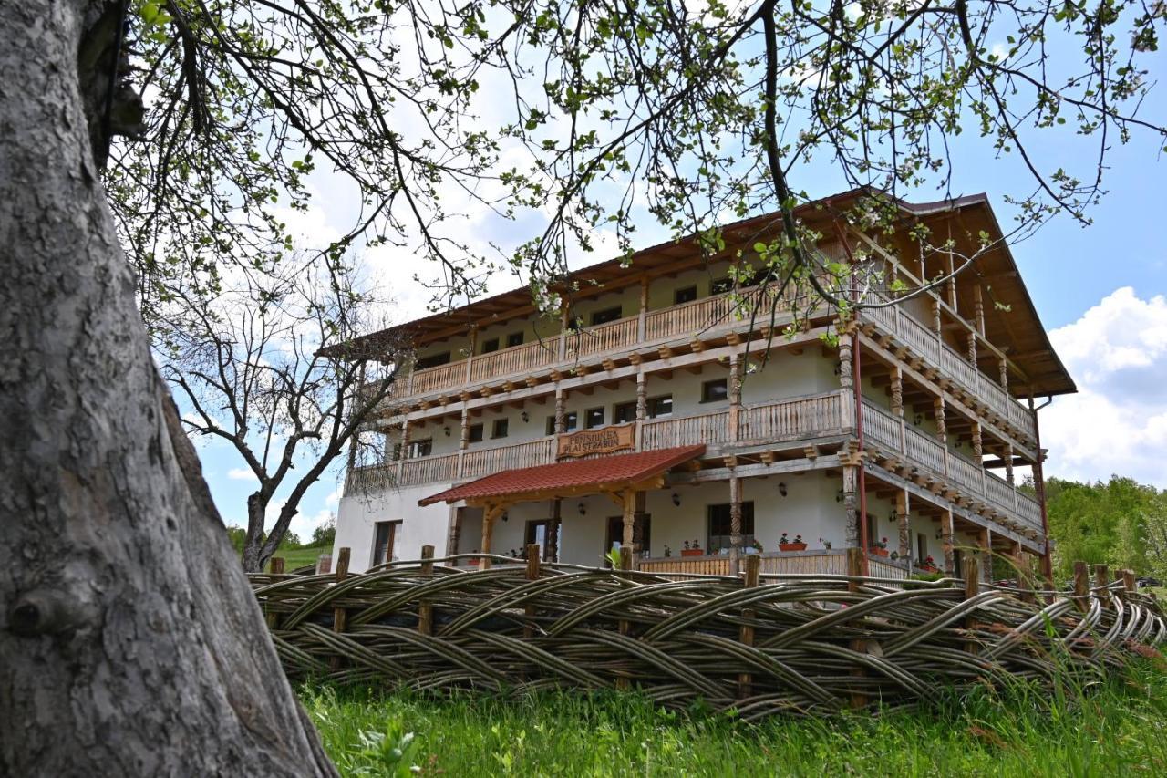 Pensiunea Plai Strabun Stramtura  Exterior photo